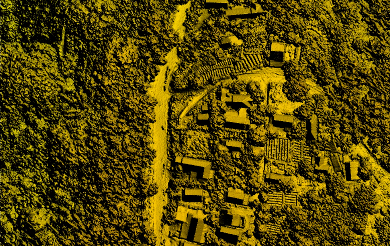 DSM (Digital Surface Model)