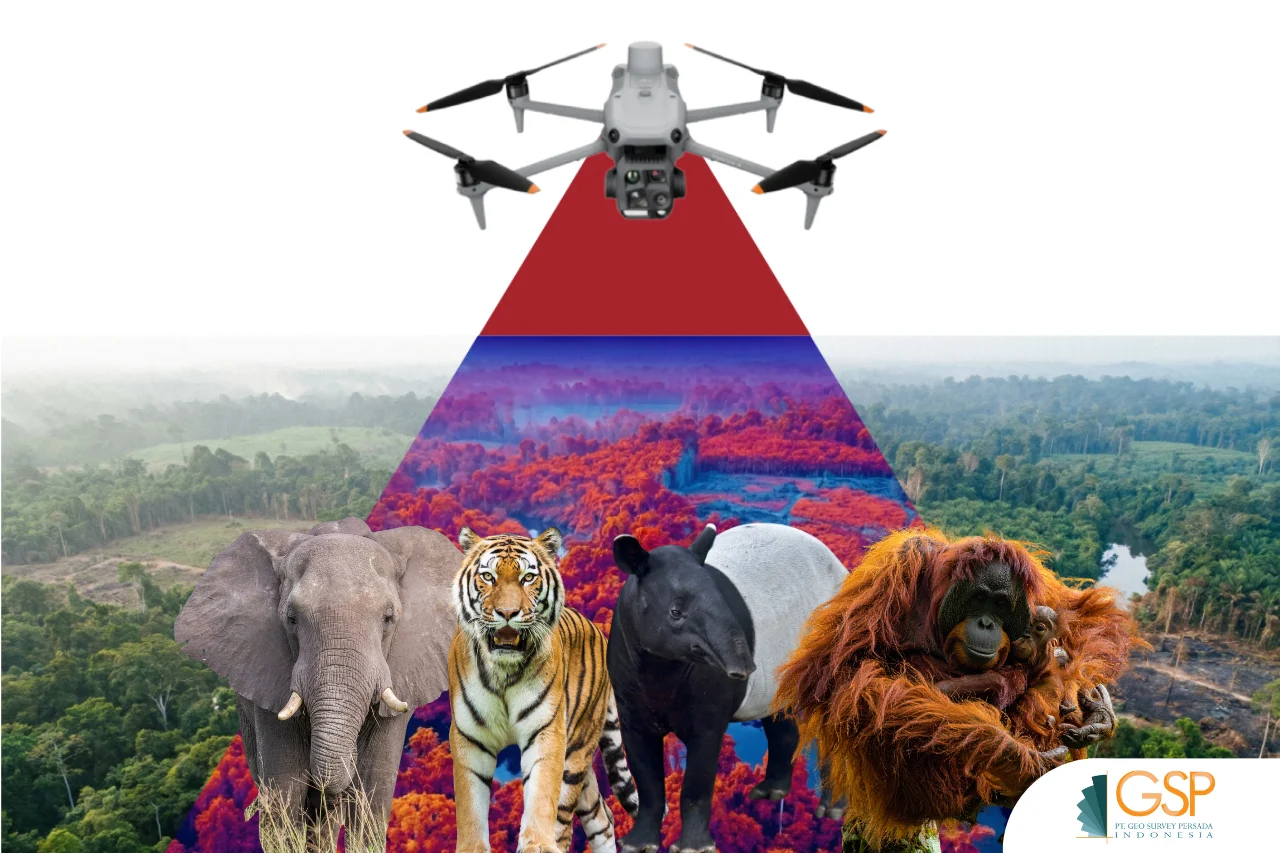 Tesso Nilo: Taman Nasional Tapi 85%-nya Sawit?