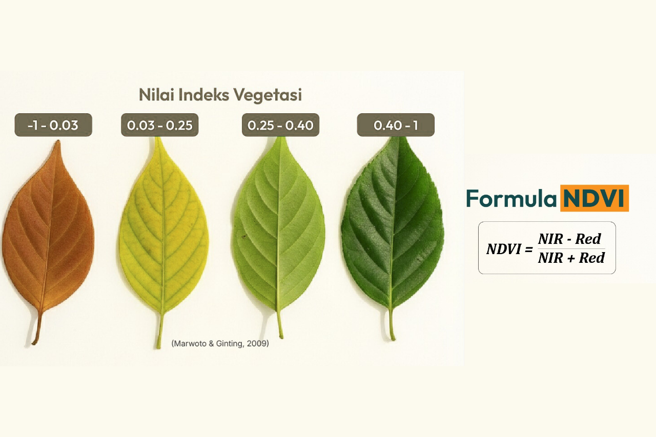 Identifikasi Kesehatan Kelapa Sawit Lebih Mudah dengan Teknologi Drone